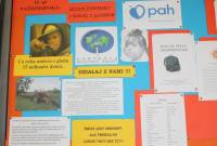 Działania szkoły - Polska Akcja Humanitarna